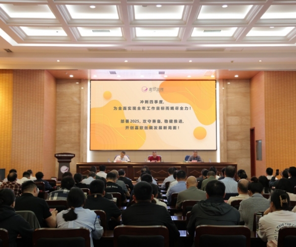 尊龙凯时丝绸2024年三季度经济形势剖析会顺遂召开